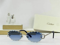 Cartier Sunglasses AAA (709)