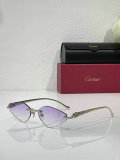 Cartier Sunglasses AAA (607)