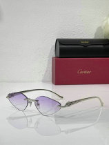 Cartier Sunglasses AAA (607) Cartier Sunglasses AAA (607)