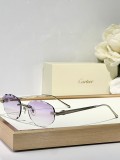 Cartier Sunglasses AAA (3123)