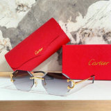 Cartier Sunglasses AAA (1248)