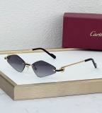 Cartier Sunglasses AAA (1922)