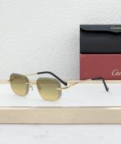 Cartier Sunglasses AAA (1995) Cartier Sunglasses AAA (1995)