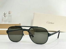 Cartier Sunglasses AAA (260) Cartier Sunglasses AAA (260)
