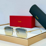 Cartier Sunglasses AAA (817)