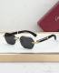 Cartier Sunglasses AAA (2009)