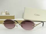 Cartier Sunglasses AAA (2289)