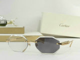 Cartier Sunglasses AAA (363)