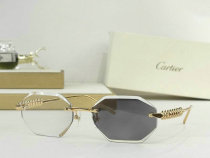 Cartier Sunglasses AAA (363) Cartier Sunglasses AAA (363)