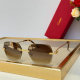 Cartier Sunglasses AAA (1364)