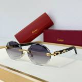 Cartier Sunglasses AAA (2073)
