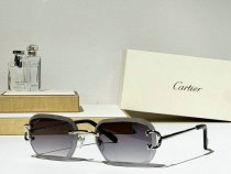 Cartier Sunglasses AAA (692) Cartier Sunglasses AAA (692)