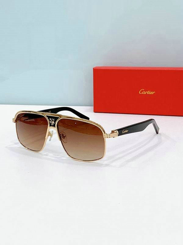 Cartier Sunglasses AAA (591)