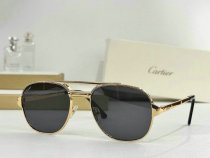 Cartier Sunglasses AAA (261) Cartier Sunglasses AAA (261)