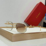 Cartier Sunglasses AAA (1649)