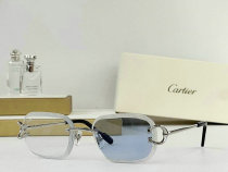 Cartier Sunglasses AAA (717) Cartier Sunglasses AAA (717)