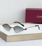 Cartier Sunglasses AAA (1925)