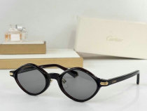 Cartier Sunglasses AAA (12)