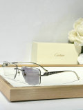Cartier Sunglasses AAA (1500)