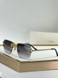 Cartier Sunglasses AAA (1028)
