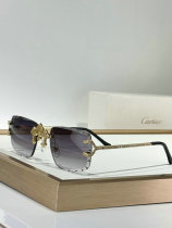 Cartier Sunglasses AAA (1028) Cartier Sunglasses AAA (1028)