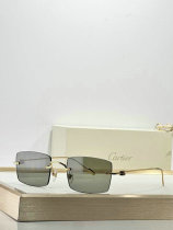 Cartier Sunglasses AAA (360)