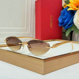 Cartier Sunglasses AAA (886)