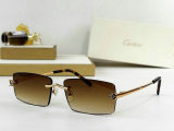 Cartier Sunglasses AAA (1730)