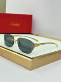 Cartier Sunglasses AAA (188)