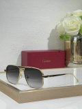 Cartier Sunglasses AAA (643)