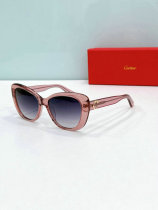 Cartier Sunglasses AAA (1549) Cartier Sunglasses AAA (1549)