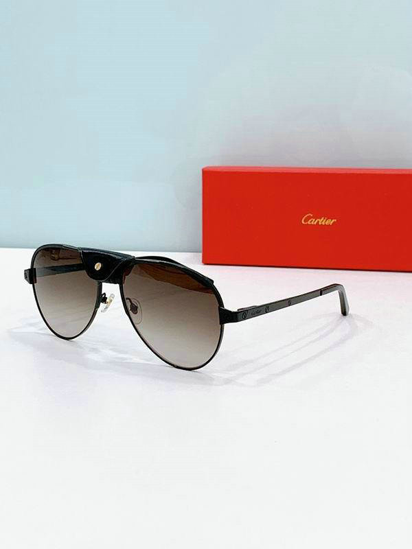 Cartier Sunglasses AAA (370)