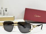 Cartier Sunglasses AAA (2483)
