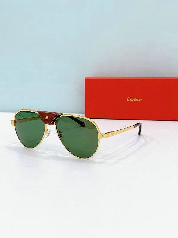 Cartier Sunglasses AAA (373)