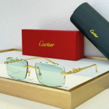 Cartier Sunglasses AAA (1051)