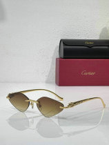 Cartier Sunglasses AAA (609) Cartier Sunglasses AAA (609)