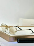 Cartier Sunglasses AAA (1030)