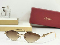 Cartier Sunglasses AAA (873) Cartier Sunglasses AAA (873)