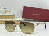 Cartier Sunglasses AAA (430)