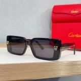 Cartier Sunglasses AAA (1966)