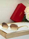 Cartier Sunglasses AAA (1180)