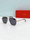 Cartier Sunglasses AAA (319)
