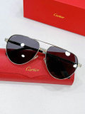 Cartier Sunglasses AAA (325)