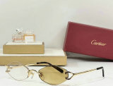 Cartier Sunglasses AAA (458)