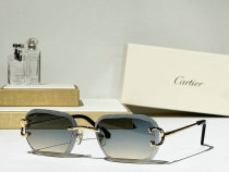 Cartier Sunglasses AAA (694) Cartier Sunglasses AAA (694)
