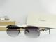 Cartier Sunglasses AAA (2218)