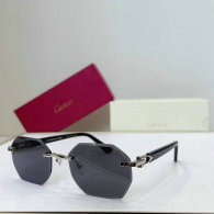 Cartier Sunglasses AAA (183)