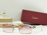 Cartier Sunglasses AAA (944)