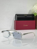 Cartier Sunglasses AAA (601)