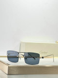 Cartier Sunglasses AAA (355)